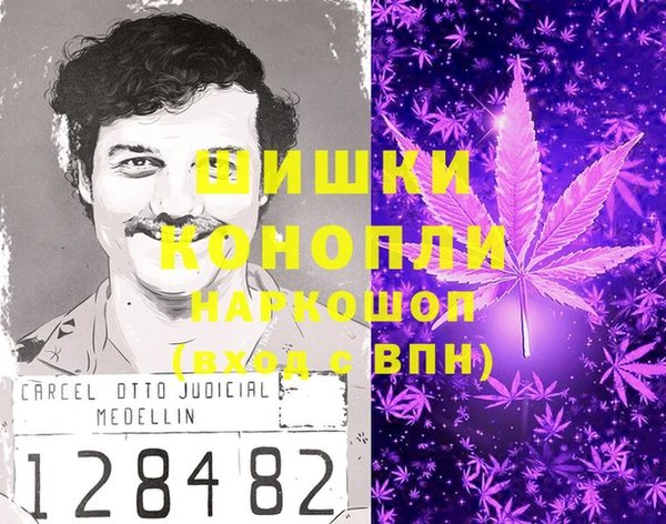 спиды Бородино