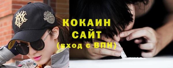 спиды Бородино