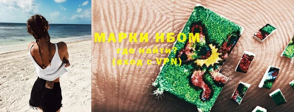 спиды Бородино