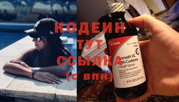 спиды Бородино