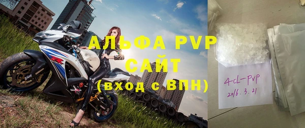 спиды Бородино