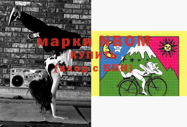 спиды Бородино