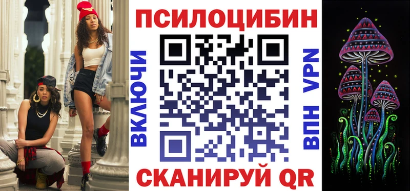 как найти закладки  Мещовск  Псилоцибиновые грибы Psilocybe 